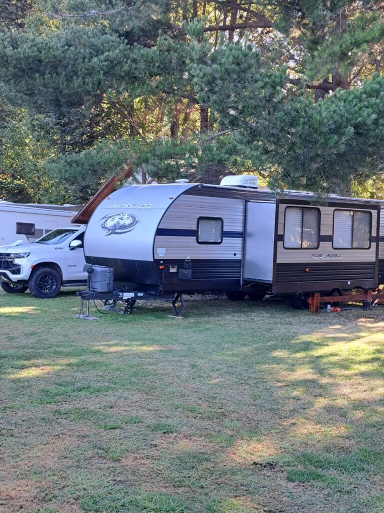 WhatsApp Image 2026-02-16 at 15.32.12