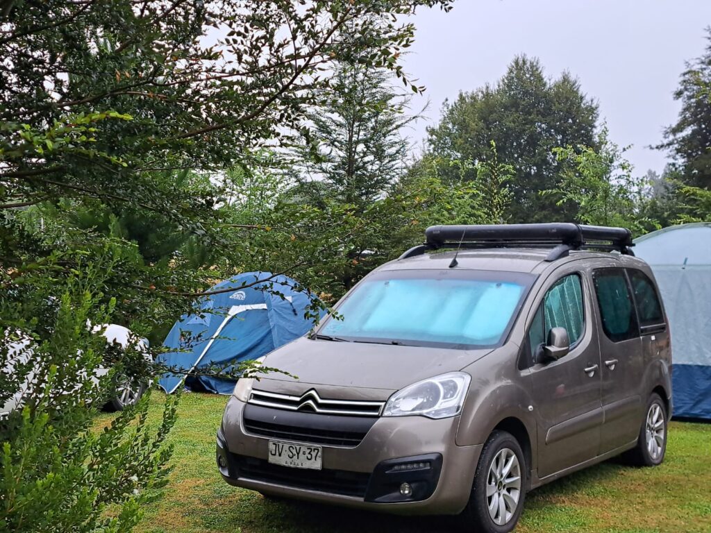 WhatsApp Image 2026-02-16 at 15.32.14 (1)