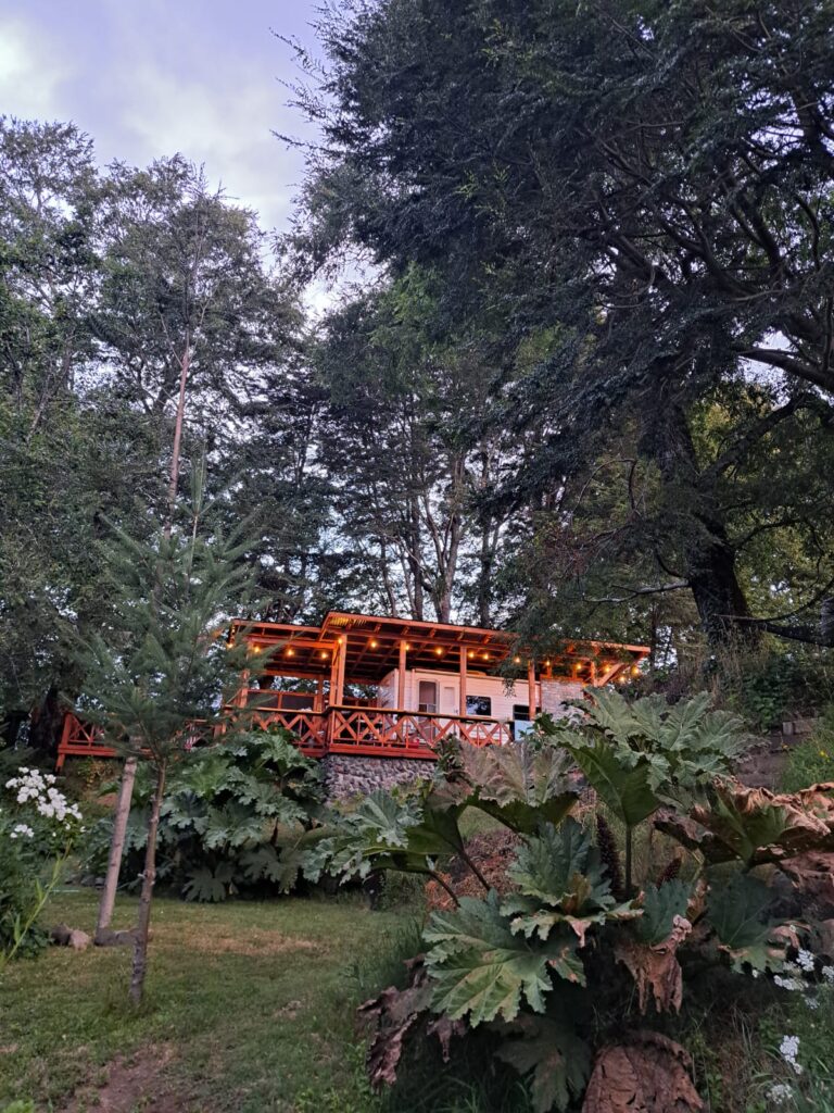 WhatsApp Image 2026-02-16 at 15.32.18 (2)