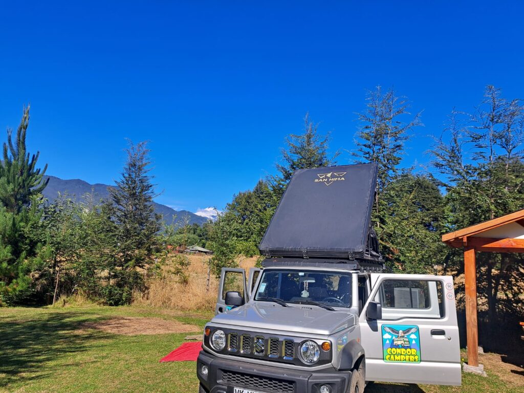 WhatsApp Image 2026-02-16 at 15.32.18