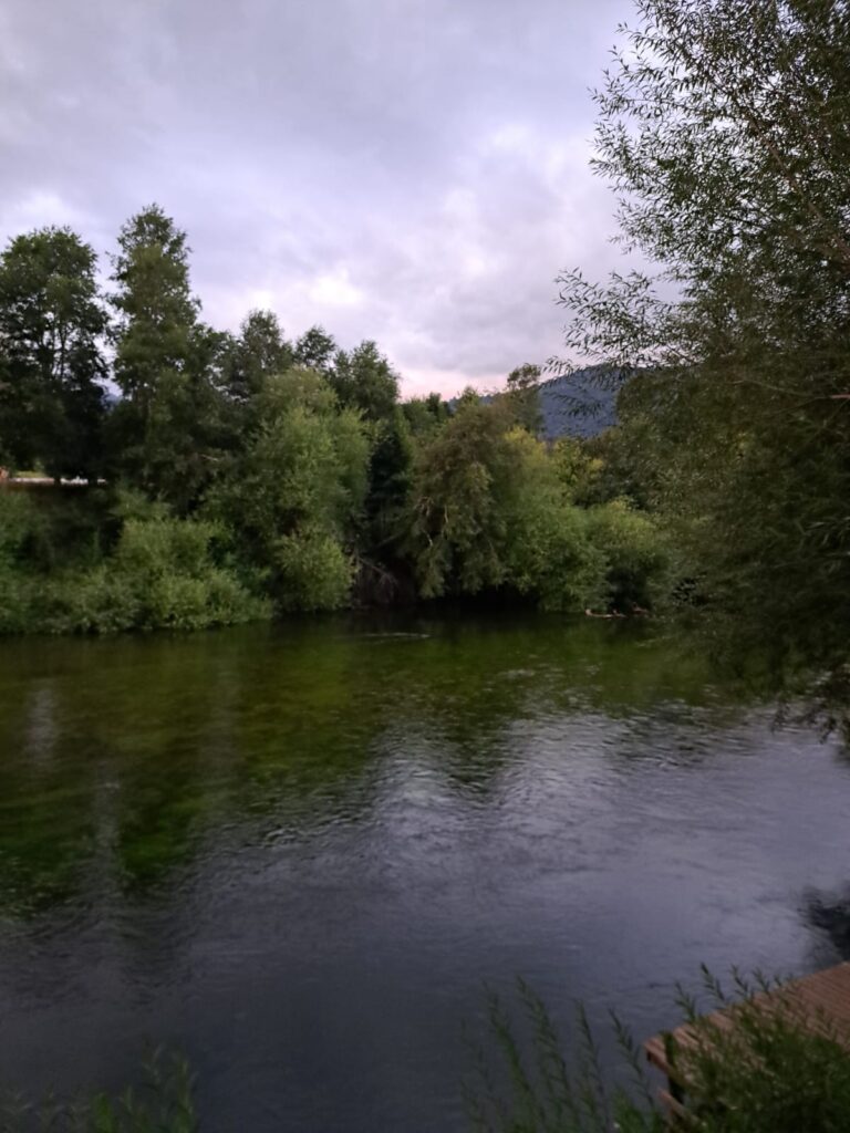 WhatsApp Image 2026-02-16 at 15.32.19